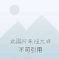 香江之东方崛起txt八零