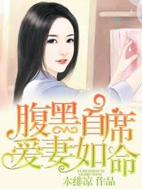 腹黑首席宠妻无度