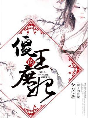 傻王的穿越妃