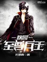 校园至尊兵王叶完整版