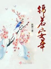 锦若流年作品集