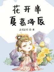 花开半夏127全文免费阅读